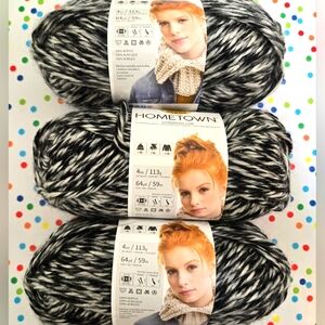 Lion Brand Yarns Hometown Anchorage Ice, 4 Oz Per Skein